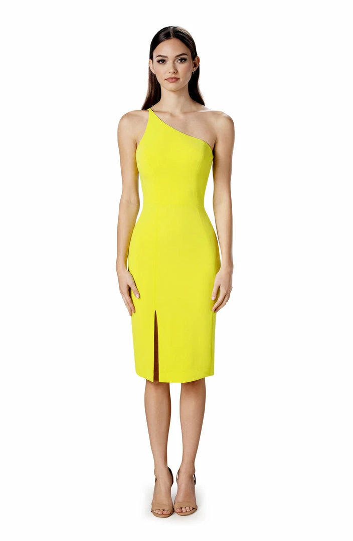 Dress The Population Alexandra Dress Party 1 Dress The Population Alexandra Dress Party