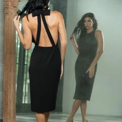 Dress The Population Emme Dress Collections