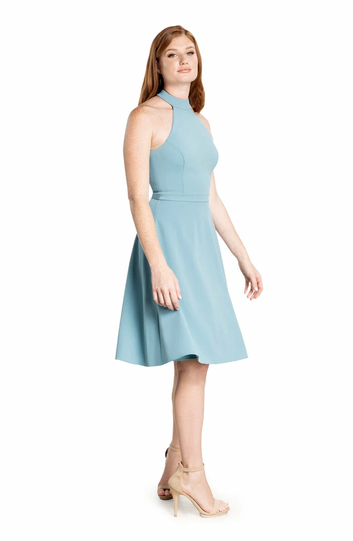 Dress The Population Paulina Dress Collections 2 Dress The Population Paulina Dress Collections