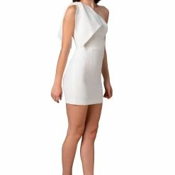 Dress The Population Tiff Dress Collections